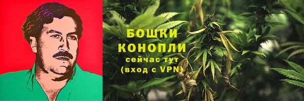 СК Елабуга