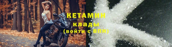 СК Дмитровск