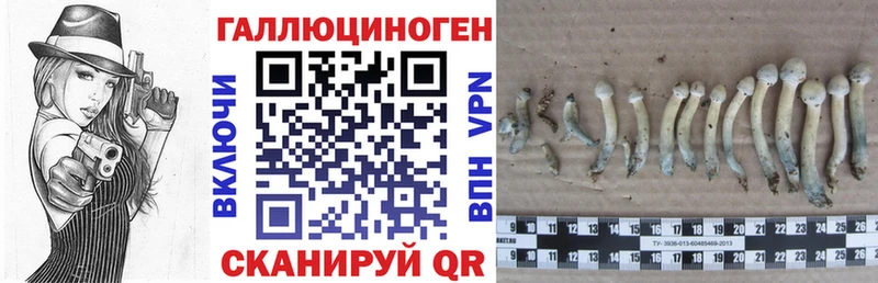 Галлюциногенные грибы MAGIC MUSHROOMS  Купить  Курильск 