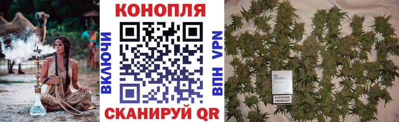 Марихуана план Купить закладки Курильск